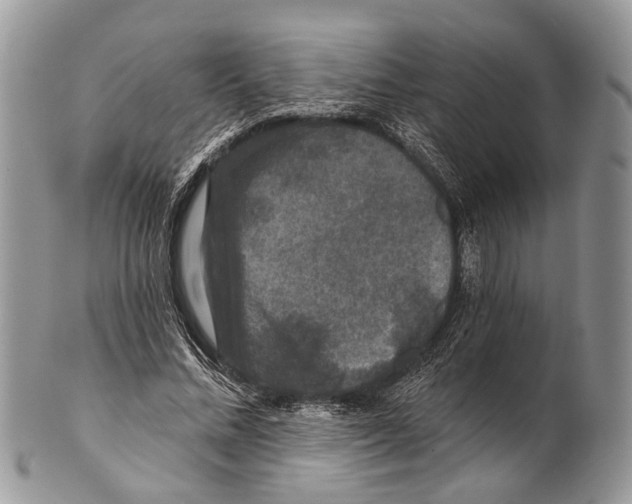 X0000101140684200807251026