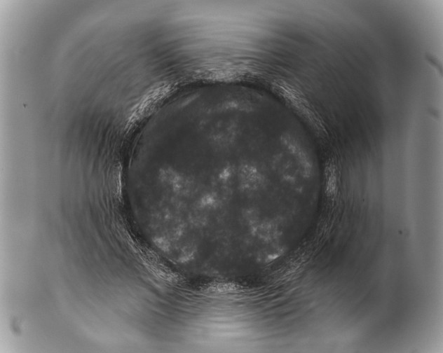 X0000101140685200807251026