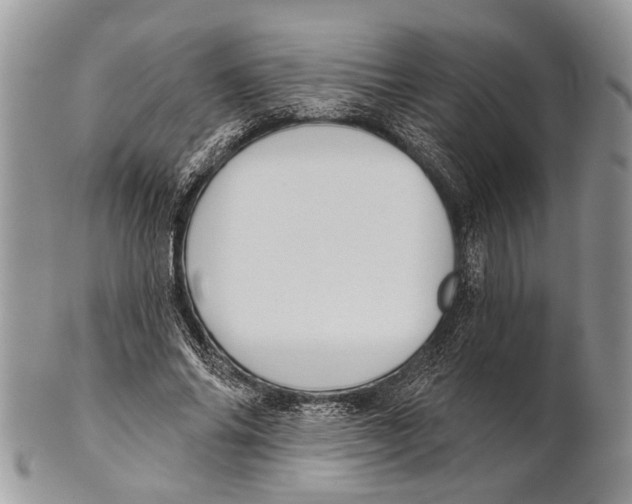 X0000101140686200807251026