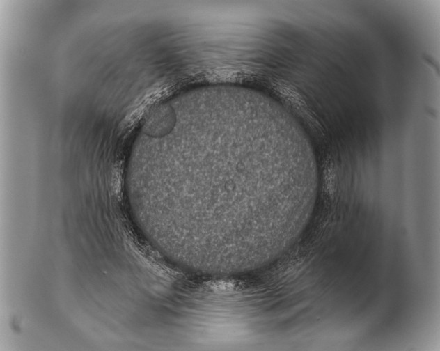 X0000101140687200807251026