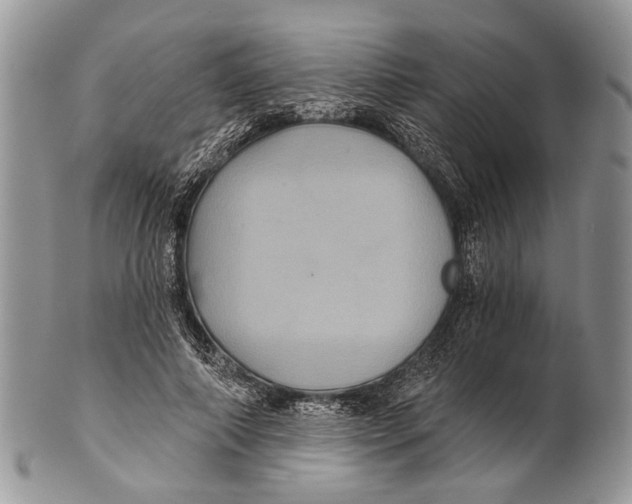 X0000101140690200807251026