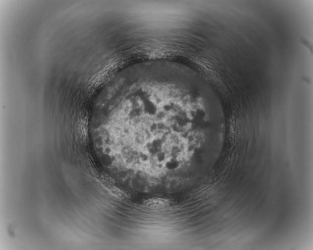 X0000101140691200807251026