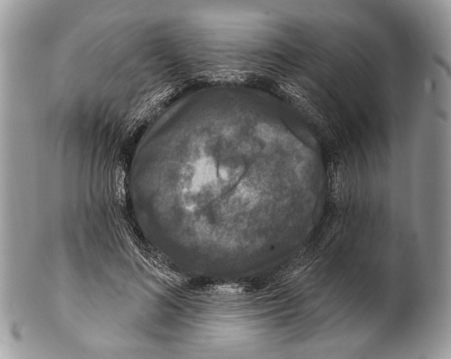 X0000101140692200807251026