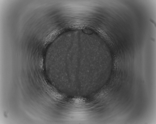 X0000101140693200807251026