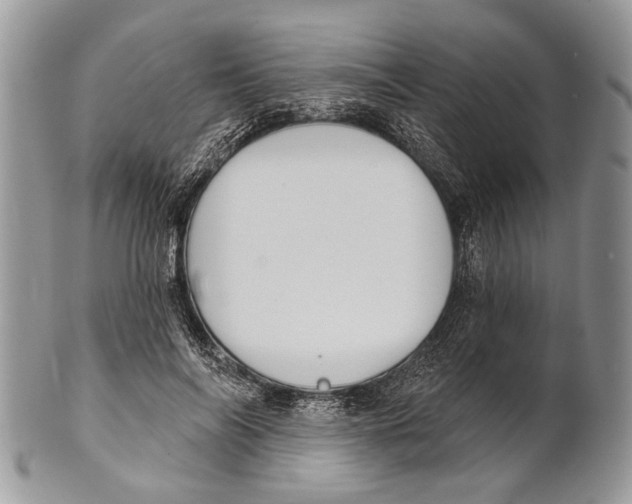 X0000101140694200807251026