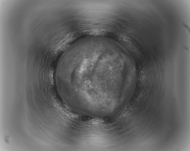 X0000101140696200807251026