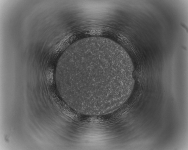 X0000101140697200807251026