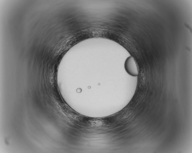 X0000101140698200807251026