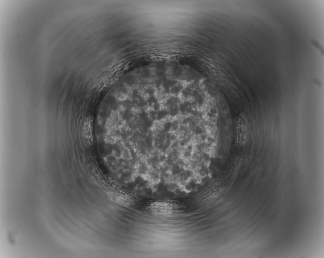 X0000101140699200807251026