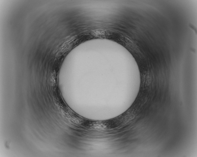 X0000101140702200807251026