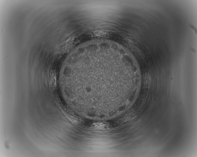 X0000101140703200807251026