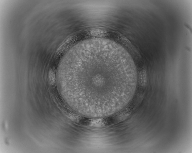 X0000101140705200807251026