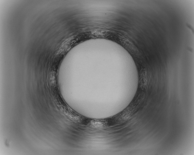 X0000101140706200807251026