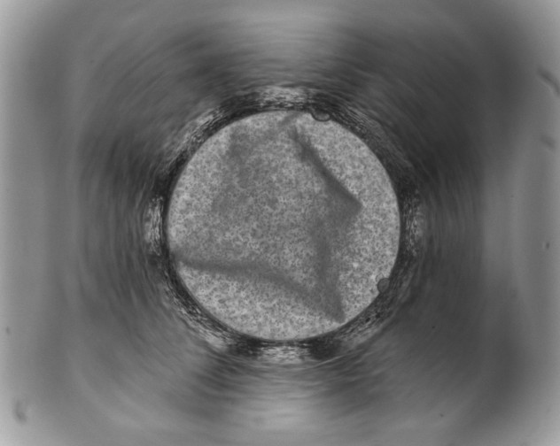 X0000101140708200807251026