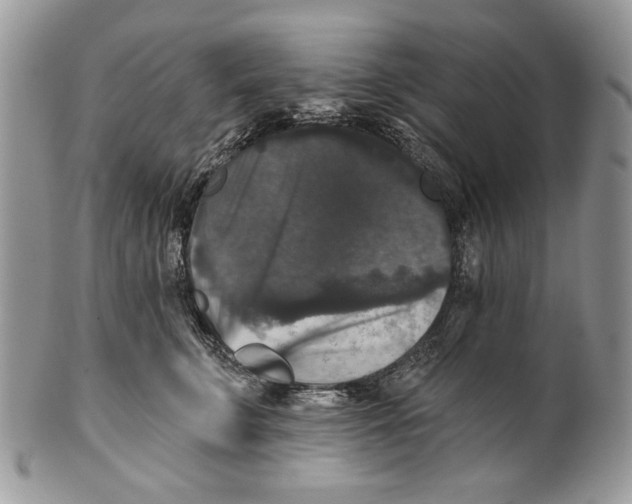 X0000101140711200807251026