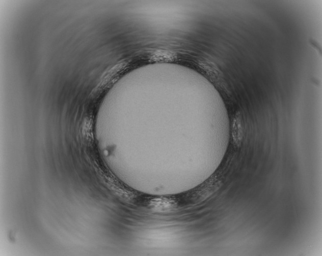 X0000101140714200807251026