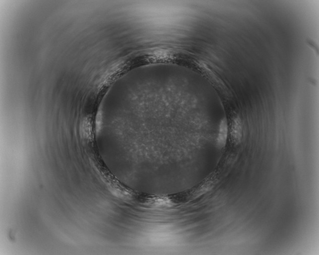 X0000101140715200807251026