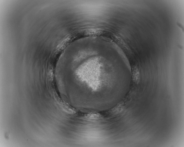 X0000101140716200807251026