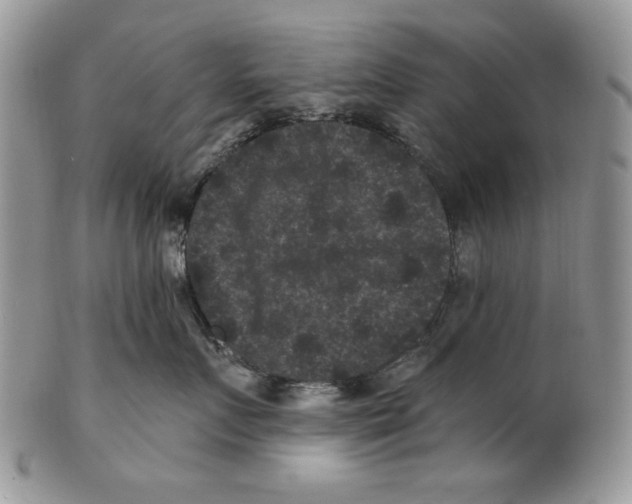 X0000101140719200807251026