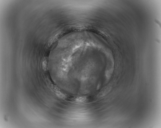 X0000101140720200807251026