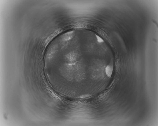 X0000101140721200807251025