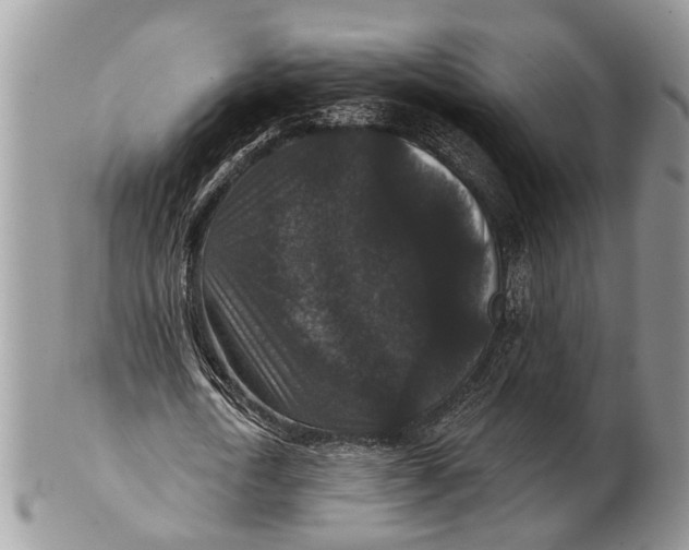 X0000101140722200807251025