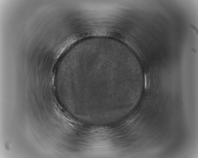 X0000101140723200807251025