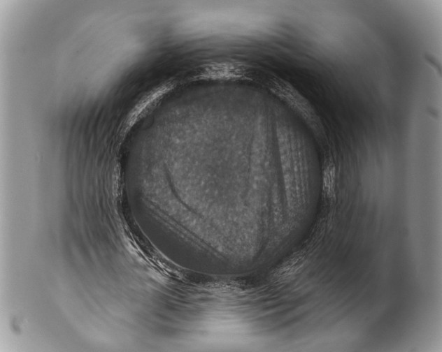 X0000101140724200807251025