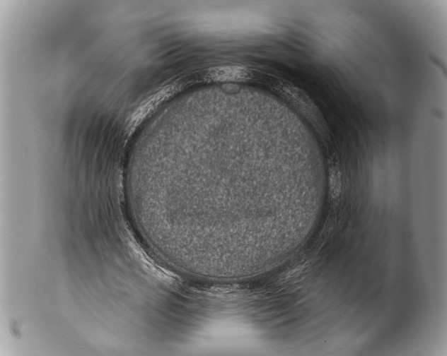 X0000101140725200807251025