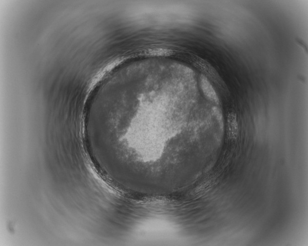 X0000101140726200807251025