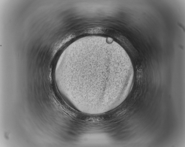 X0000101140727200807251025