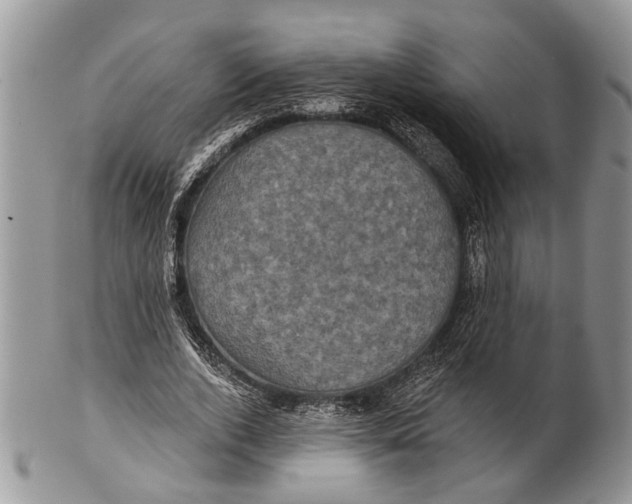 X0000101140728200807251025