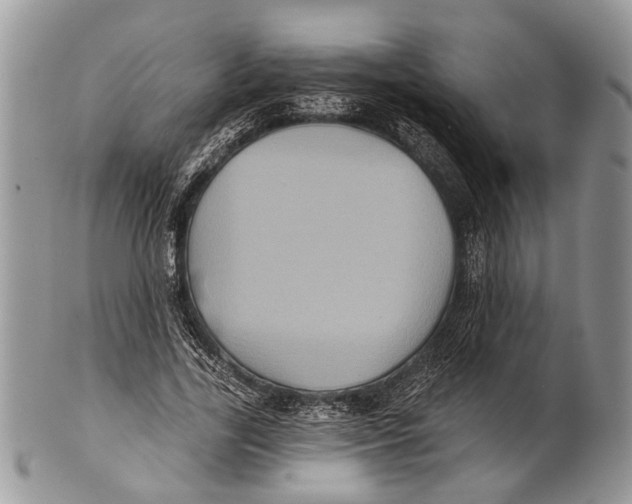 X0000101140731200807251025