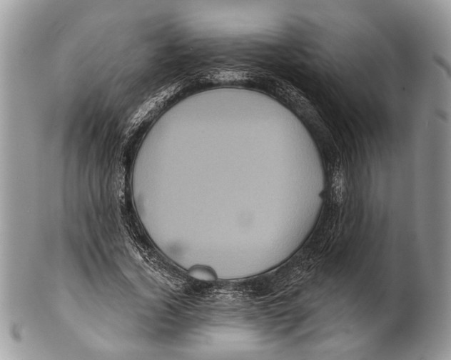 X0000101140732200807251025