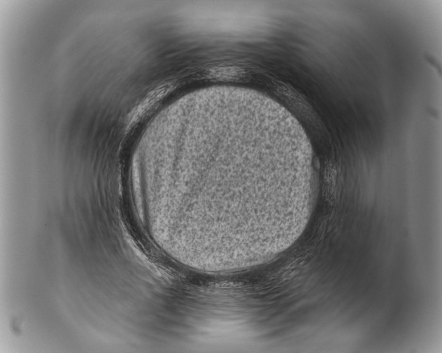 X0000101140734200807251025