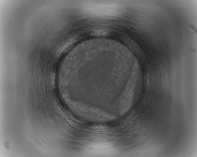 X0000101140735200807251025