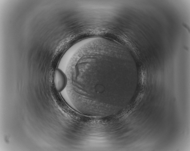 X0000101140736200807251025