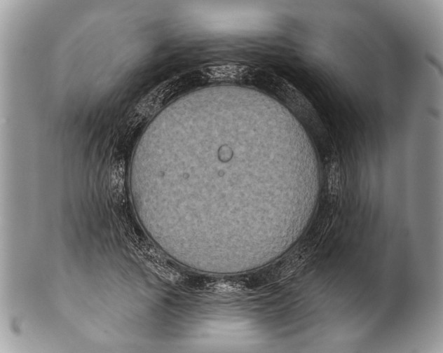 X0000101140737200807251025