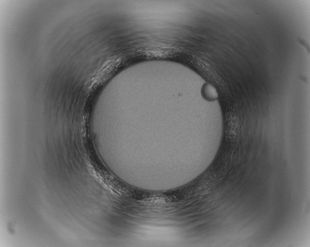 X0000101140738200807251025