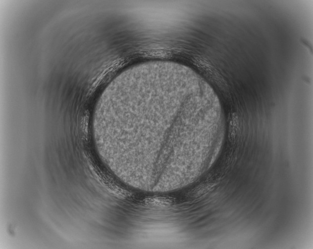 X0000101140739200807251025