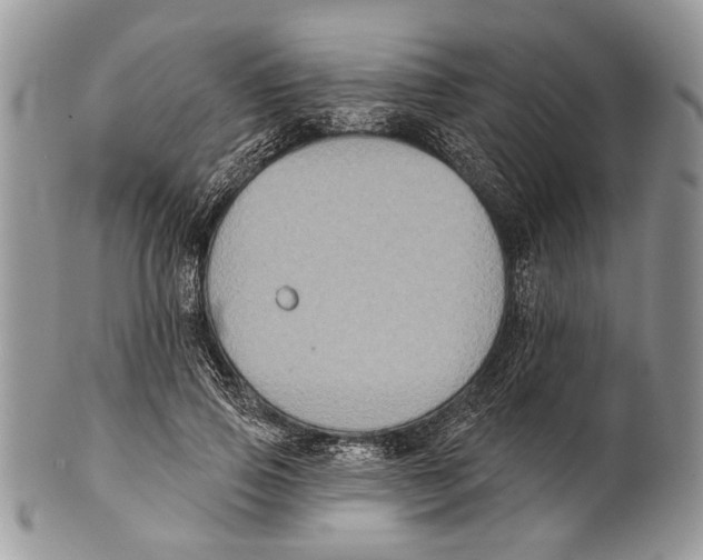 X0000101140741200807251025