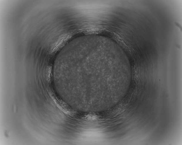 X0000101140742200807251025