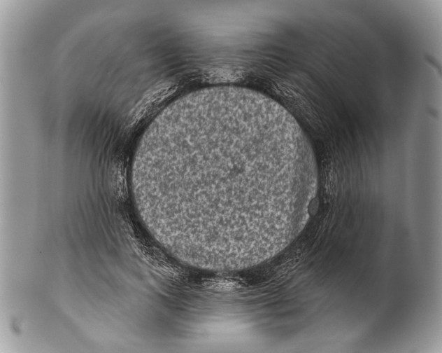 X0000101140743200807251025