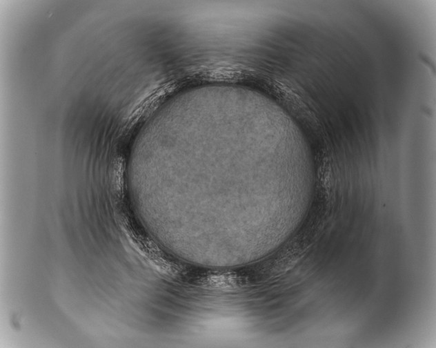 X0000101140744200807251025