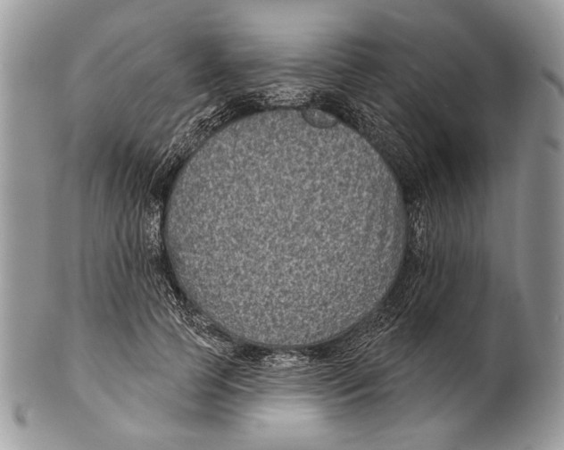 X0000101140745200807251025