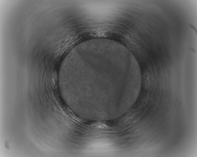 X0000101140747200807251025