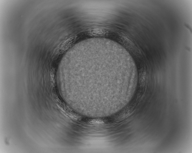 X0000101140749200807251025