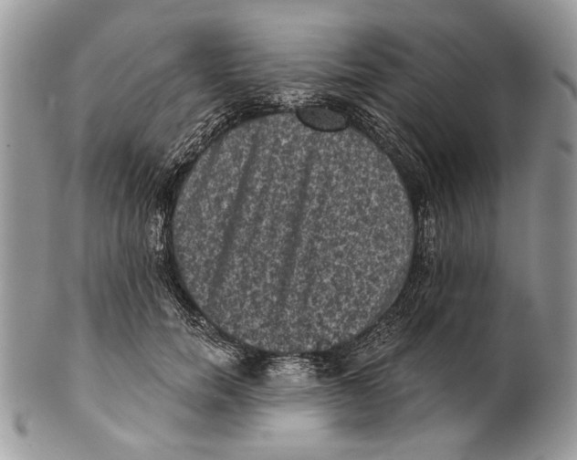 X0000101140750200807251025