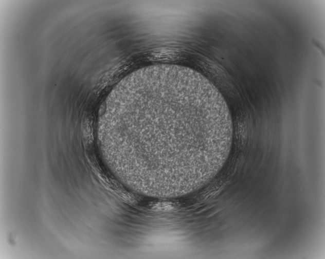 X0000101140751200807251025