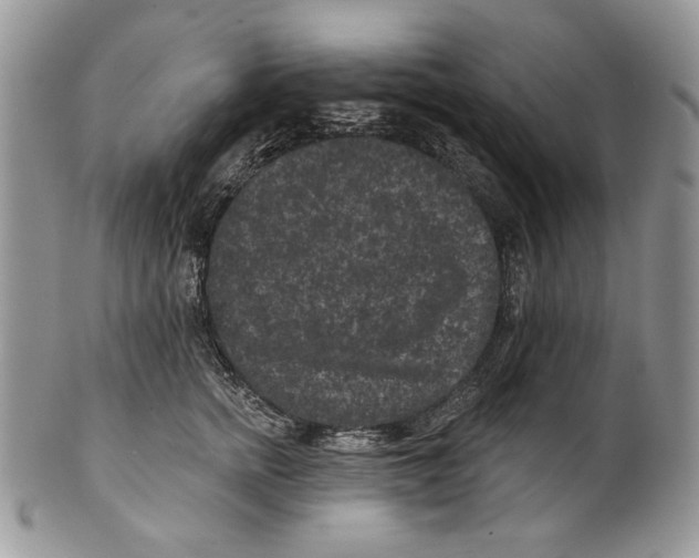 X0000101140758200807251026